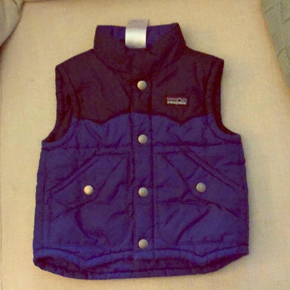 Patagonia Puffer Vest